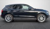 Audi Q5 2.0 TFSI quattro - Leder-Panorama-AHK - Audi Q5 von privat