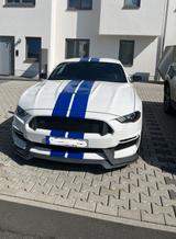 Ford Mustang 5.0 V8 *GT 350 Optik* - Ford Mustang: 350gt