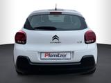 Citroën C3 Benzin 83 C-SERIES *PDC*Sitzhzg*Tempomat* - Citroën C3 in Magdeburg