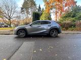 Lexus UX 250h - Hybrid, Garantie Lexus/Scheckheft gep. - Lexus: L