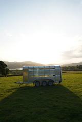 Ifor Williams Vieh-Anhänger TA510+3.5T+Alu+Trennwand - Ifor Williams LKWs