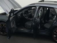 Cupra Formentor - Vorschau Bild 32
