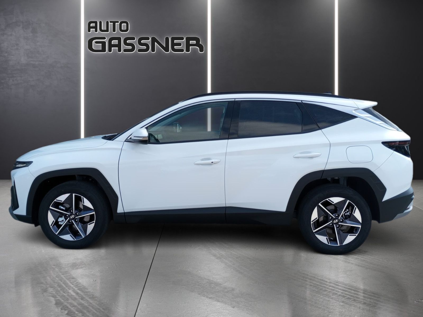 Fahrzeugabbildung Hyundai TUCSON 1.6 T-GDI Hybrid Trend LED