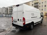 Fiat Ducato Maxi 1Hand Top Zustand ! Sortimo ! - Fiat Ducato: Maxi