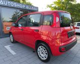 Fiat Panda Easy - Fiat Panda aus 2019
