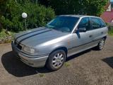 Opel Astra F 1,6 16v AHK KLIMA TÜV Alu - Opel Astra aus 1997