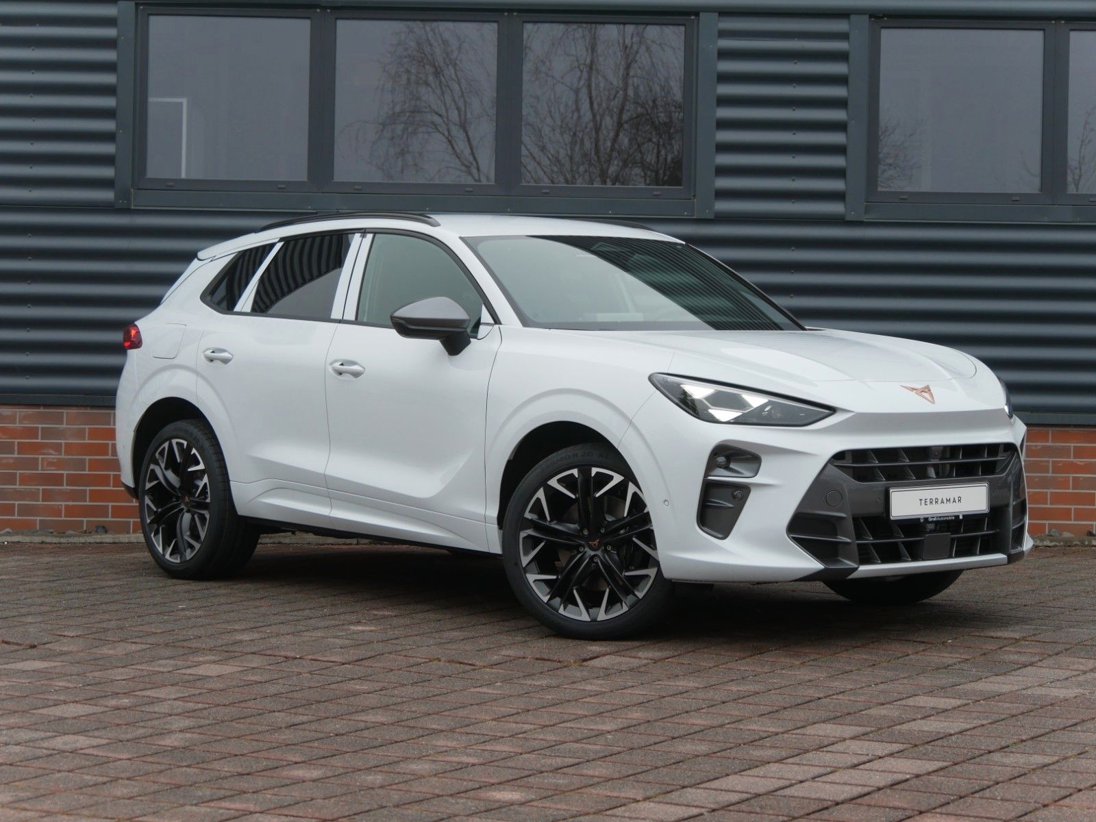 Cupra Terramar VZ 2.0 TSI 195 kW 4Drive|Matrix|Senn