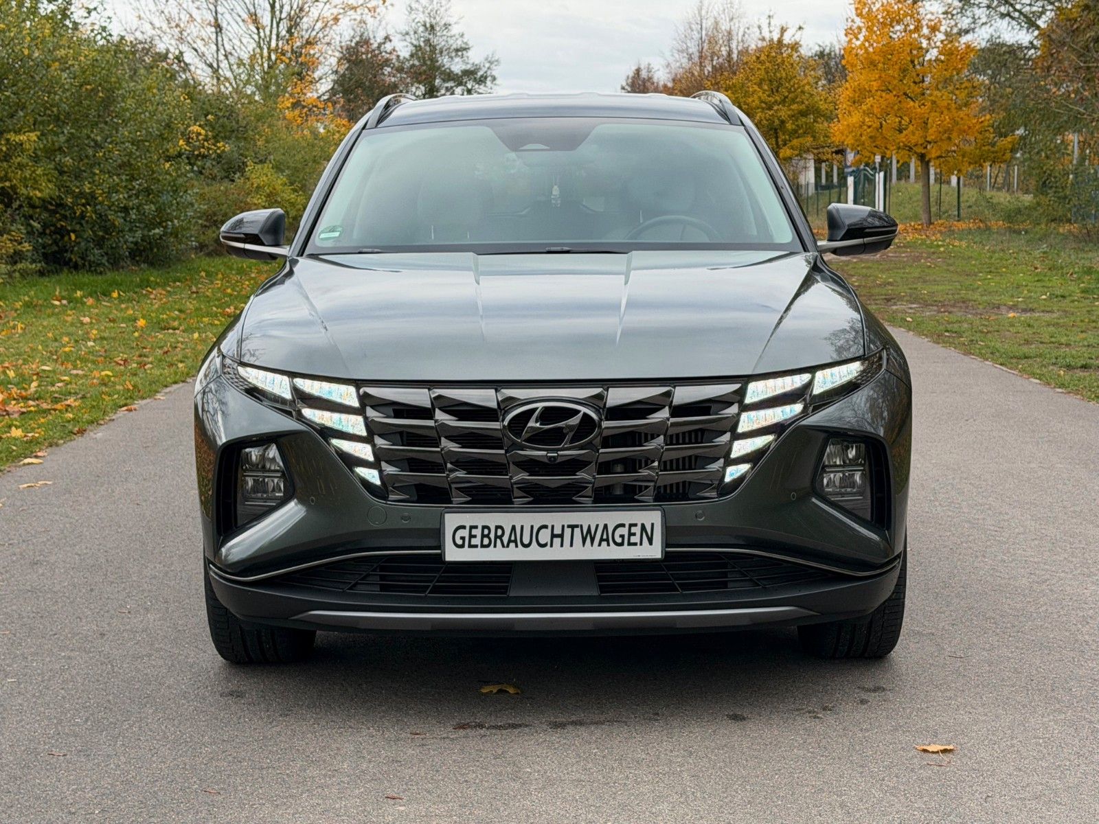 Fahrzeugabbildung Hyundai TUCSON 1.6 T-GDI 48V Prime *DCT*SHZ*RFKamera*LED
