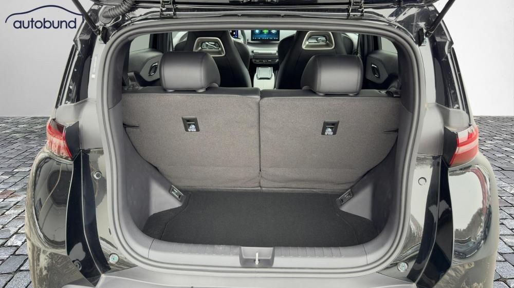 BYD DOLPHIN SURF