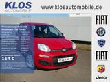 Fiat Panda HYBRID 1.0 GSE 70PS PDC CITY PAKET RADIO 5 - Fiat Panda: Rot