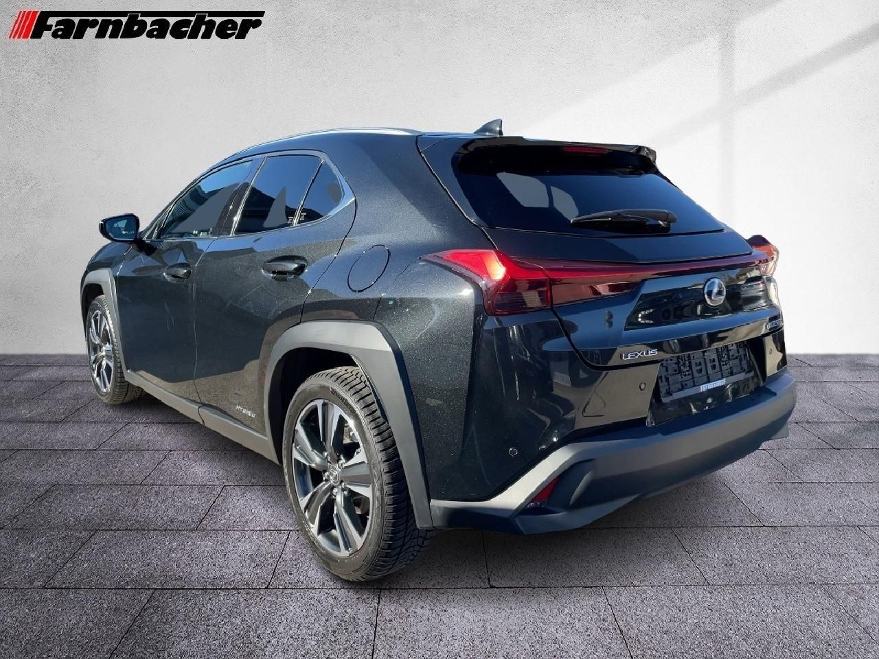 Fahrzeugabbildung Lexus UX 250h Style Edition