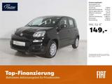 Fiat Panda 1.0 GSE Hybrid Pandina Icon - Fiat Panda Neuwagen