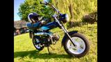 Honda DAX ST 50 - HONDA DAX ST 50
