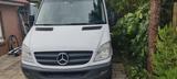 Mercedes-Benz 316 CDI Sprinter 906.233 7GTronic L2H2 - Mercedes-Benz Sprinter 906