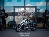 Harley-Davidson NIGHT ROD SPECIAL ANV GEWERBLICHER VERKAUF ! - Offers