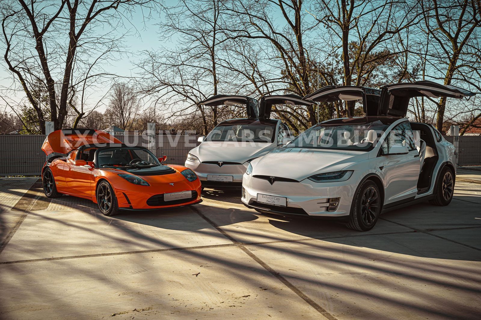 Tesla MODEL S LONG RANGE PLUS RAVEN HW3 21 CCS foto 2