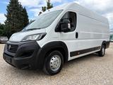 Fiat Ducato Maxi Grossr.-Kasten 35 140 L5H2 RS: 4035* - Fiat Ducato: L5h2