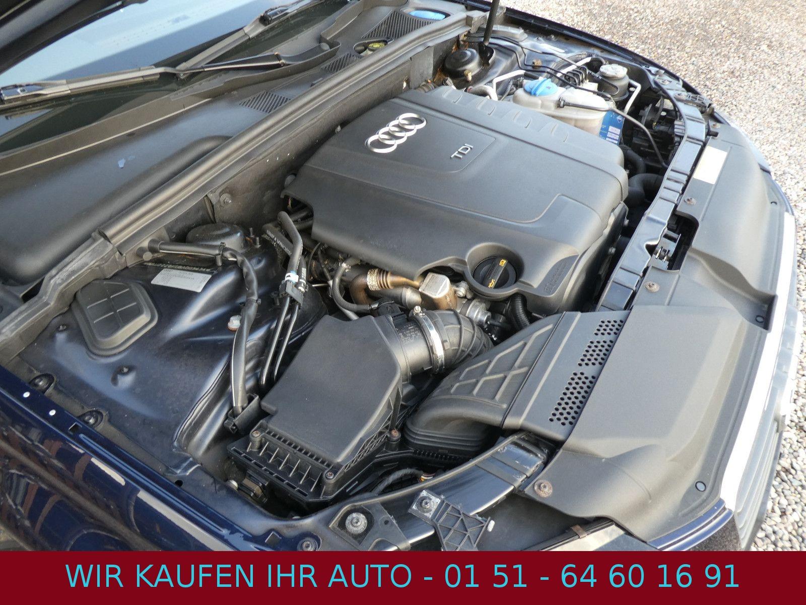 Audi Quattro 2010 — photo 28
