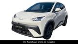 BYD Dolphin Surf Boost|RFK|Link|Navi|KEYLS|el.Sitze| - weiße BYD DOLPHIN