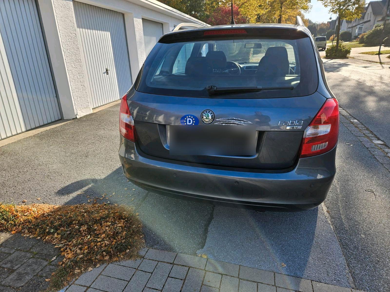 Skoda Fabia 2009 — салон