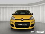 Fiat Panda Base 1.0 Mild Hybrid EU6e DAB Spurhalteass - Fiat Panda Neuwagen: Eu