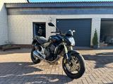 Honda Hornet 600ccm PC41 - Offers