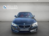 BMW 218i CABRIO SPORT LINE XENON KLIMAAUTO PDC TEMPO - BMW 218 aus 2016