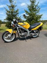 Suzuki GS 500 E - SUZUKI GS500