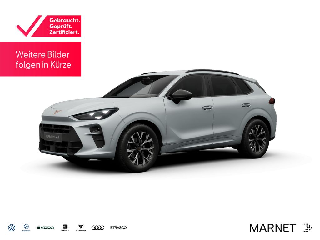 Image of Cupra Terramar