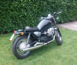 Moto Guzzi 1100 California Jackal  - MOTO GUZZI 1100 CALIFORNIA