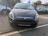 Fiat Punto 1.2 8V MyLive* TÜV NEU* 2 HAND* - Fiat Panda Gebrauchtwagen in Essen