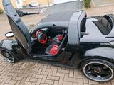 Smart Roadster 452 Cabrio absolutes Einzelstück  - Smart Roadster: Coupé