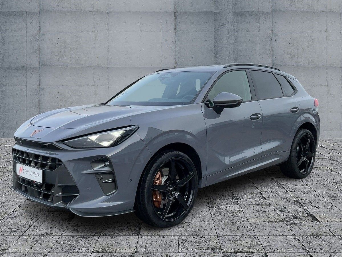 Cupra Terramar - Bild 2