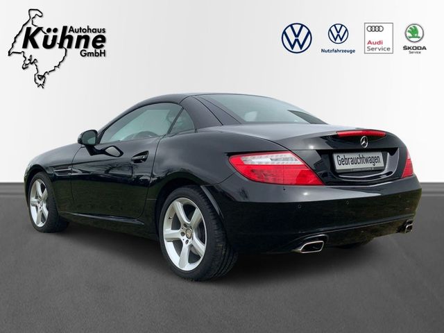 SLK 200 LEDER GLASDACH