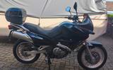 Suzuki XF 650 - SUZUKI XF 650