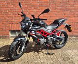 Benelli BN 125 - BENELLI BN 125