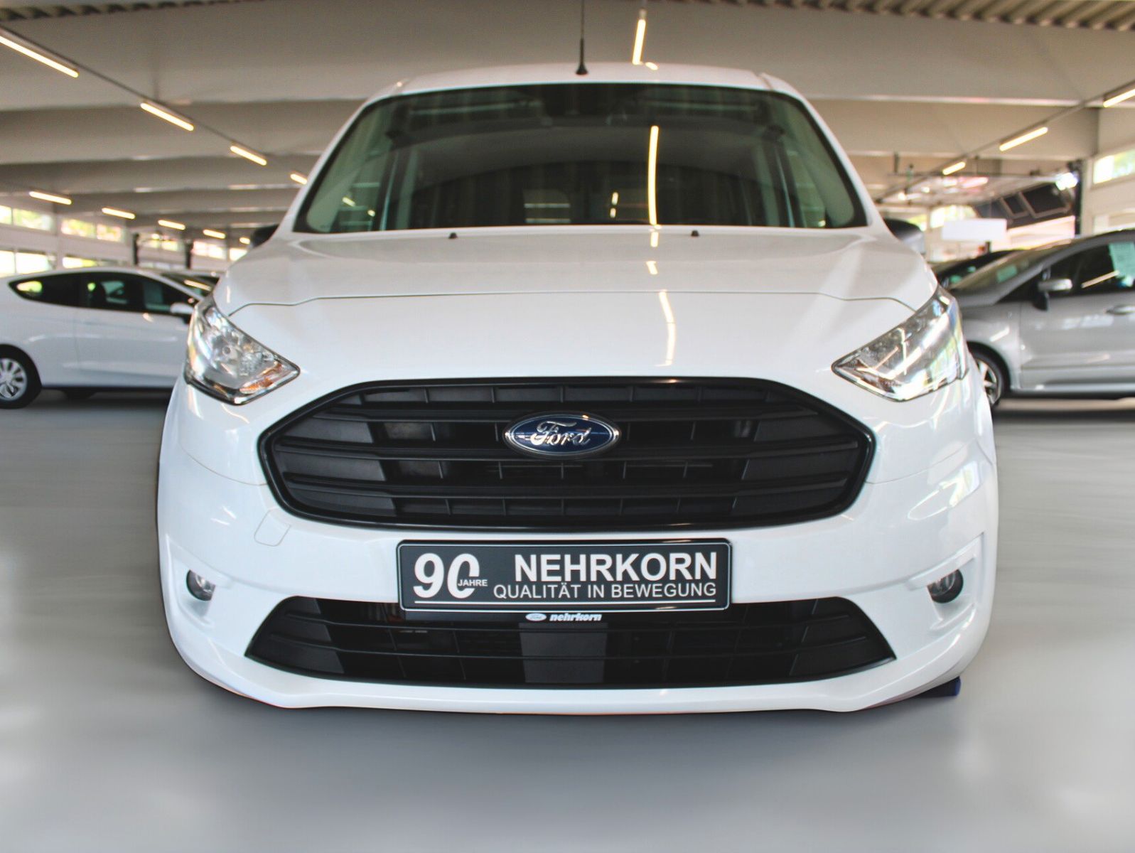 Fahrzeugabbildung Ford Transit Connect L2 Rollstuhlrampe Heckausschnitt