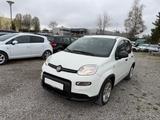 Fiat Panda Base * Klima* - gebrauchte Kleinwagen