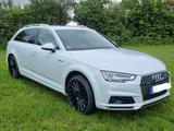 Audi A4 Allroad 3.0 TDI tiptronic quattro Avant - - weiße Audi A4 Allroad