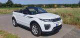 Land Rover Range Rover Evoque Cabrio2.0 TD4 SE Dynamic - Land Rover Range Rover Evoque in Köln