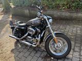 Harley-Davidson HARLEY-DAVIDSON, SPORTSTER Custom, XL 1200C - HARLEY-DAVIDSON SPORTSTER 1200 XL CUSTOM