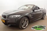 BMW 218i Cabrio Automatik Navi Camera - Roadster mit Unfallschaden
