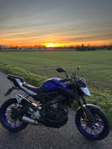 Yamaha MT 125 - YAMAHA MT125
