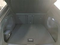 Cupra Tavascan - Vorschau Bild 7