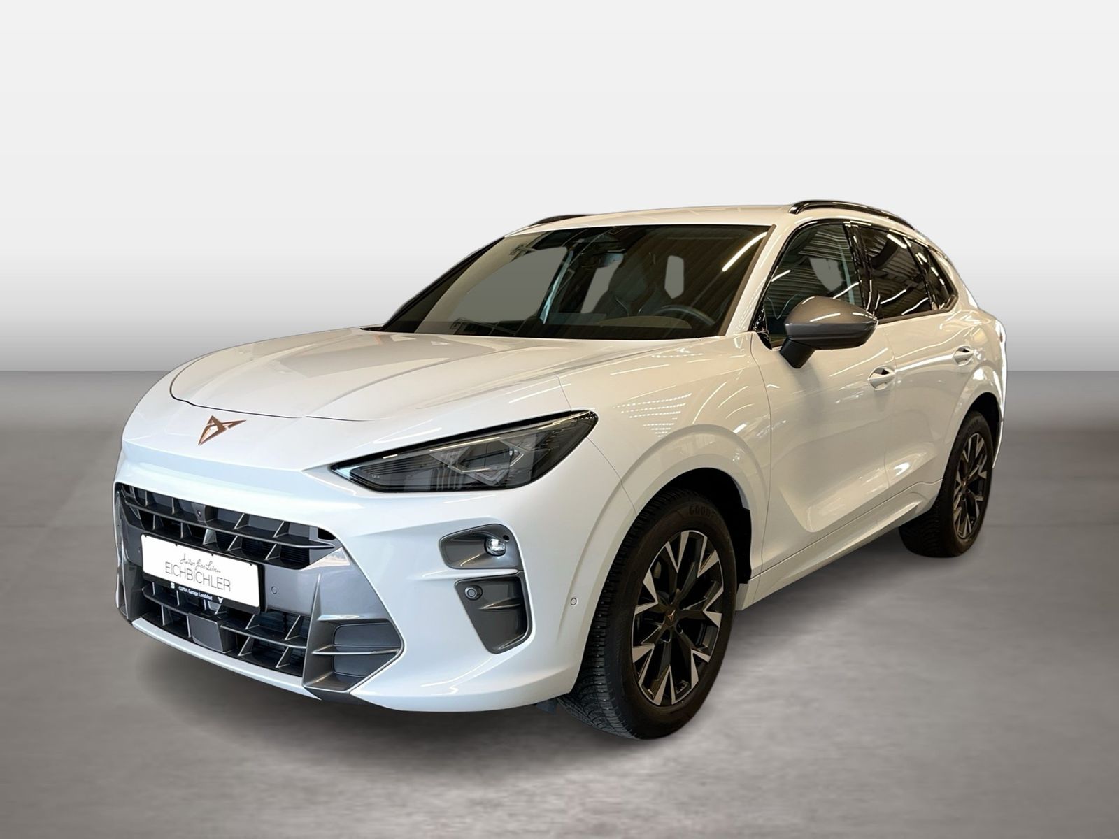 Cupra Terramar - Bild 2