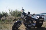 Harley-Davidson Fat Boy - Offers