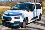 Citroën ë-Berlingo 136 M SHINE AHK ANHÄNGERKUPPLUNG VAN - Citroën ë-Berlingo Gebrauchtwagen