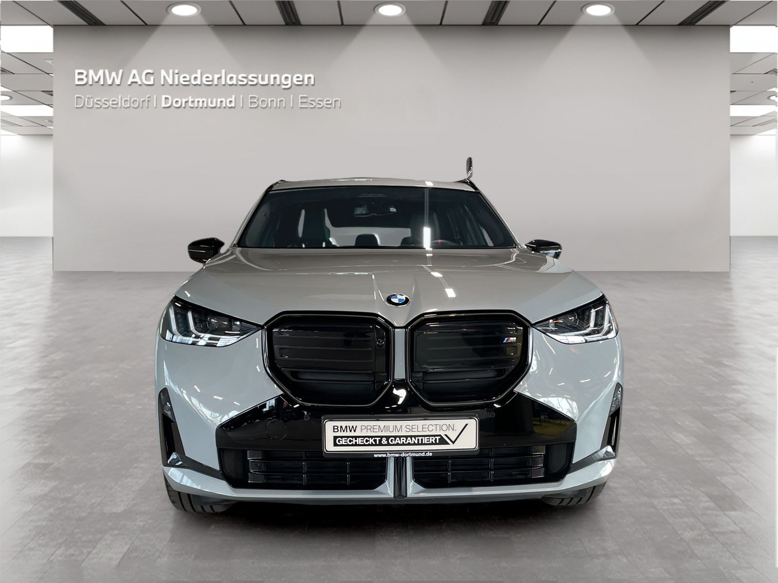 BMW X3 M50 - Bild 8