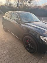 Alfa Romeo Stelvio - Alfa Romeo Gebrauchtwagen in Mannheim