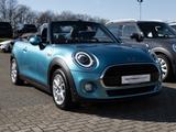 MINI Cooper Cabrio Pepper LED LEDER SHZ PDC KLIMA - blaue MINI Cooper Cabrio